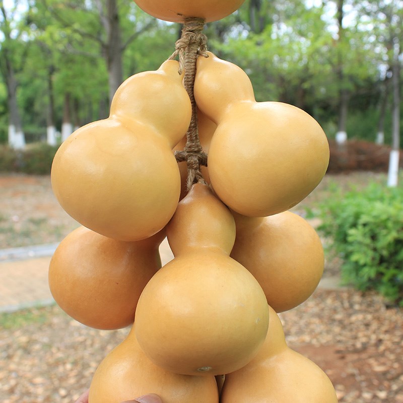 天然葫芦串挂饰招财挂件家居文玩摆件云南特色民族工艺原色手把件