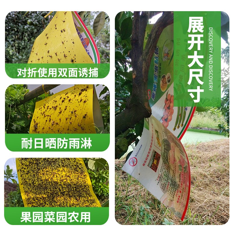 户外双面果蝇贴针蜂粘椰林农用粘虫板瓜实蝇粘胶板诱粘板信息素