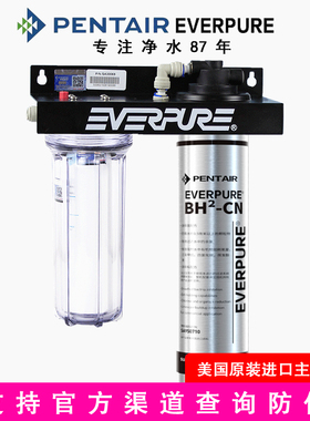 爱惠浦净水器BH2家用直饮机过滤器北方专用去除水垢EV9612-50滤芯
