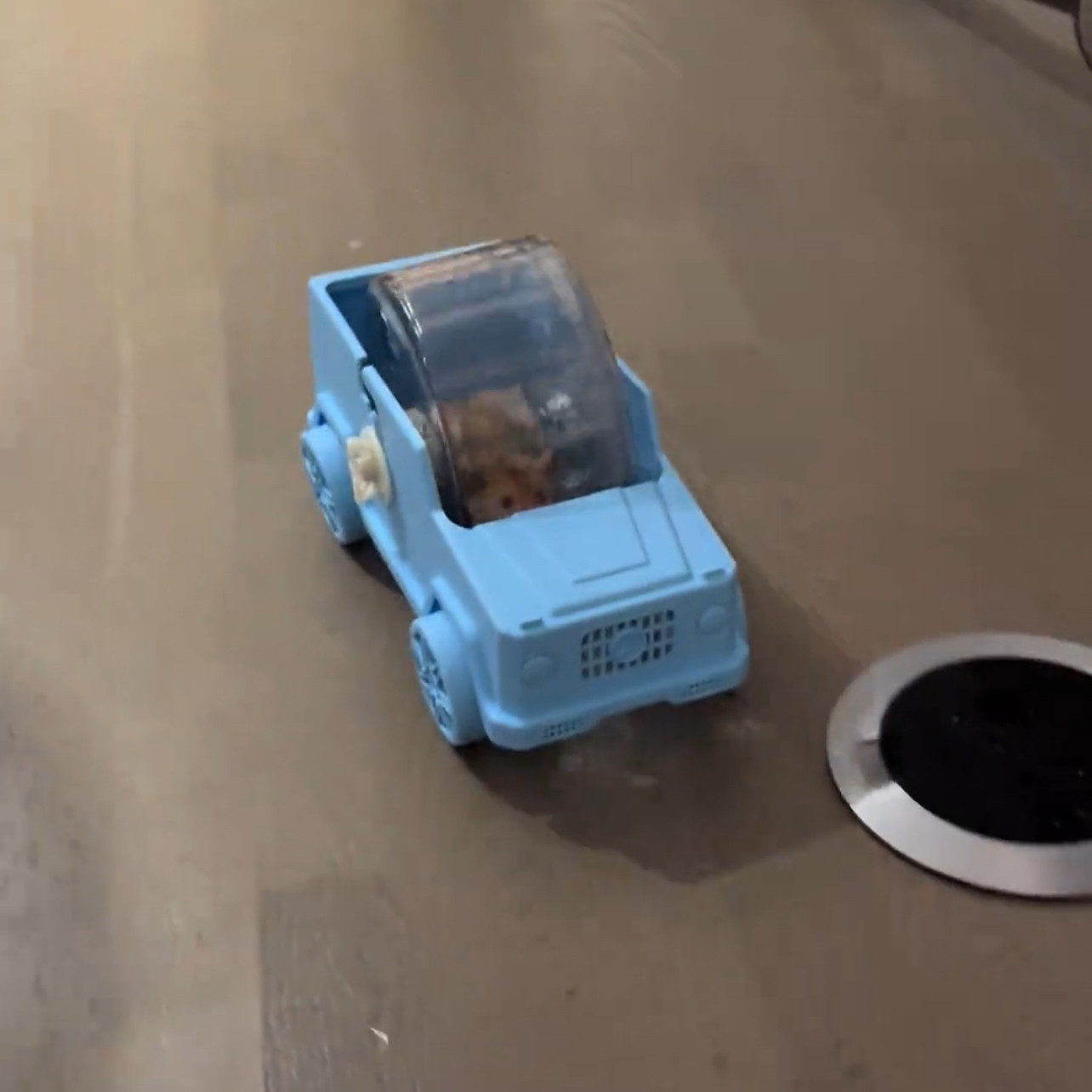 仓鼠熊玩具跑轮金丝熊新款趣味可爱迷你小车静音转滚轮汽车跑轮