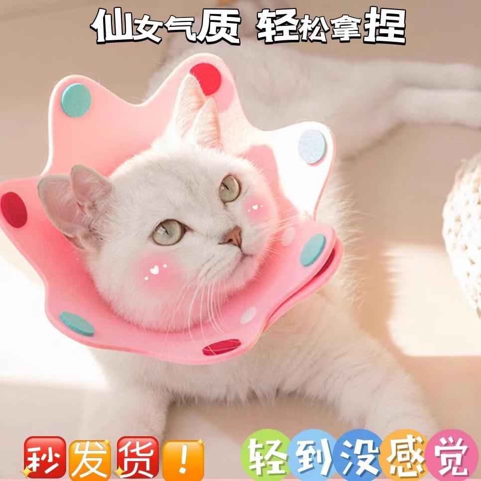 宠物伊丽莎白圈辱圈猫狗防咬羞防舔项圈宠物术后防护猫咪头套围脖