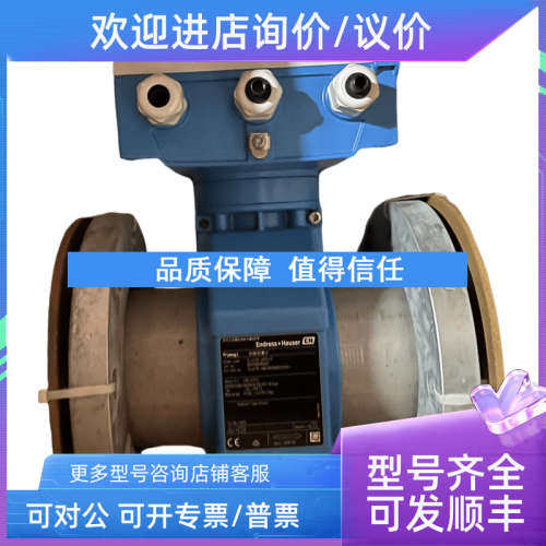 议价E+H锈钢管道式污水酸碱防爆流量计50H15-LB0A1AA0ABAA