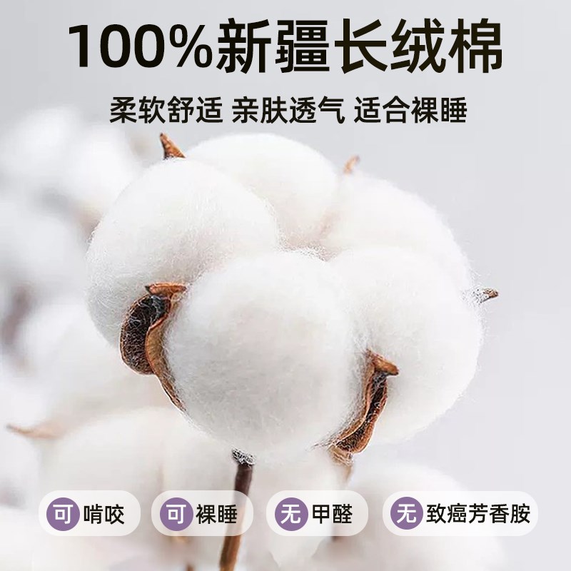 床笠单件100全棉儿童女孩床罩床套三件套宿舍床单人2024新款