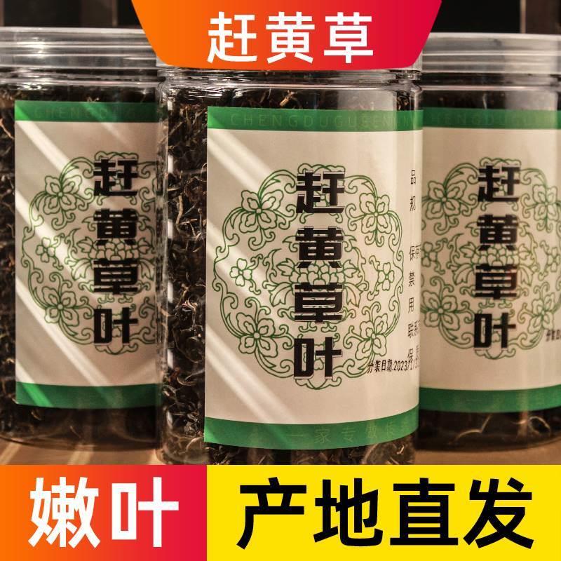 正品古蔺野生特级赶黄草中药材转氨酶益肝茶四川赶黄草茶搭赶黄花