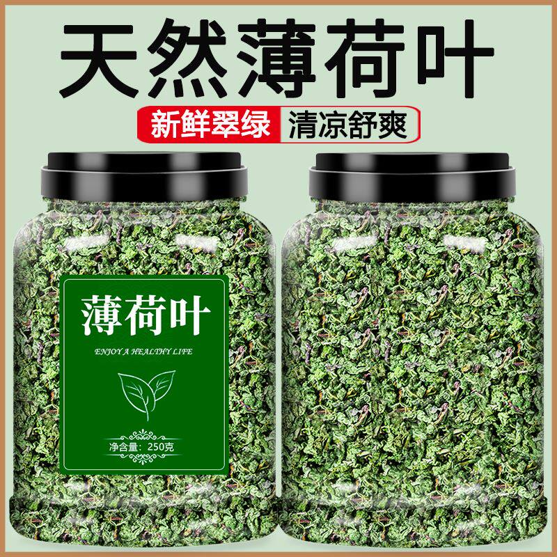 薄荷叶新鲜可食用干特级中药材泡茶泡水喝的东西调酒夏季清凉茶叶