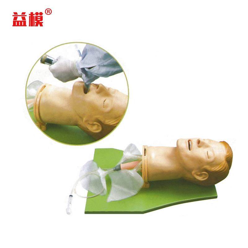 高级多功能气道管理模型 51气道管理模型 护士训练模型1,文具电教/文化用品/商务用品,教学标本/模型,淘宝优惠券,粉丝福利购,淘宝优惠卷