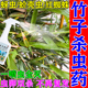 竹子杀虫剂除介壳虫蚜虫白粉虱红蜘蛛专用植物杀虫药夏威夷竹通用
