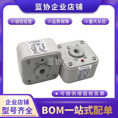 巴斯曼全新快速熔断器170M6418 170M6419 170M6420 170M6421