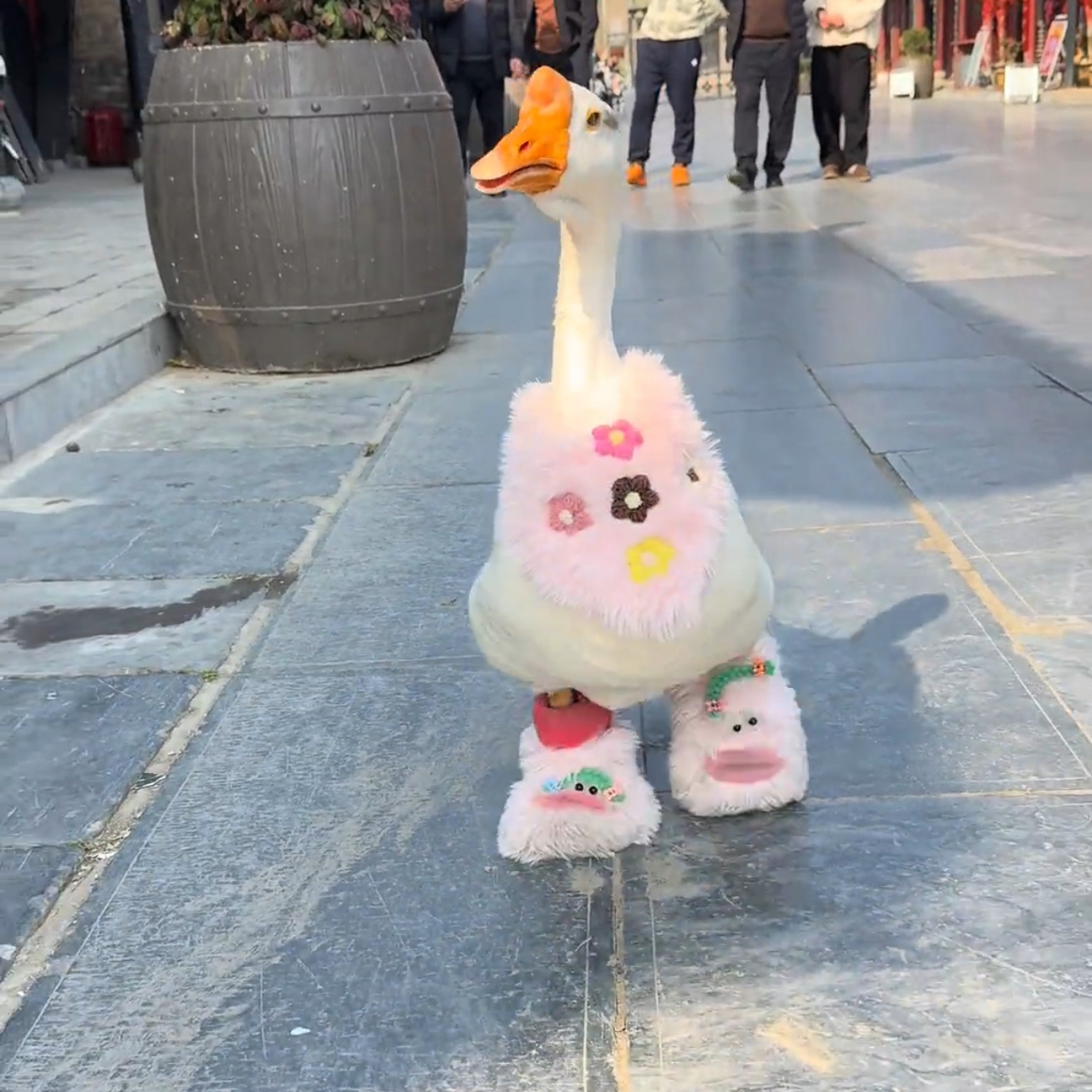 可爱保暖加绒加厚毛茸茸秋冬天防寒冻宠物脚套可爱搞怪毛绒冬季