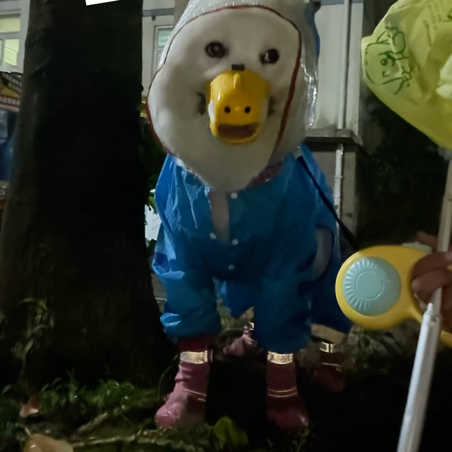 新款可爱小鸭子狗狗防咬防叫防乱吃嘴罩止吠器小型犬柯基宠物用品
