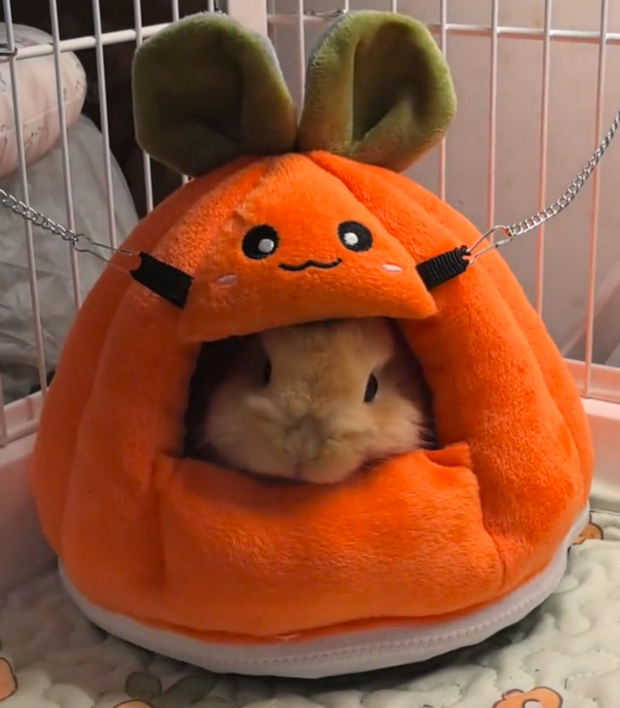 宠物侏儒兔棉窝荷兰猪无底窝龙猫松鼠保暖蜜袋鼯花枝鼠非迷刺猬窝