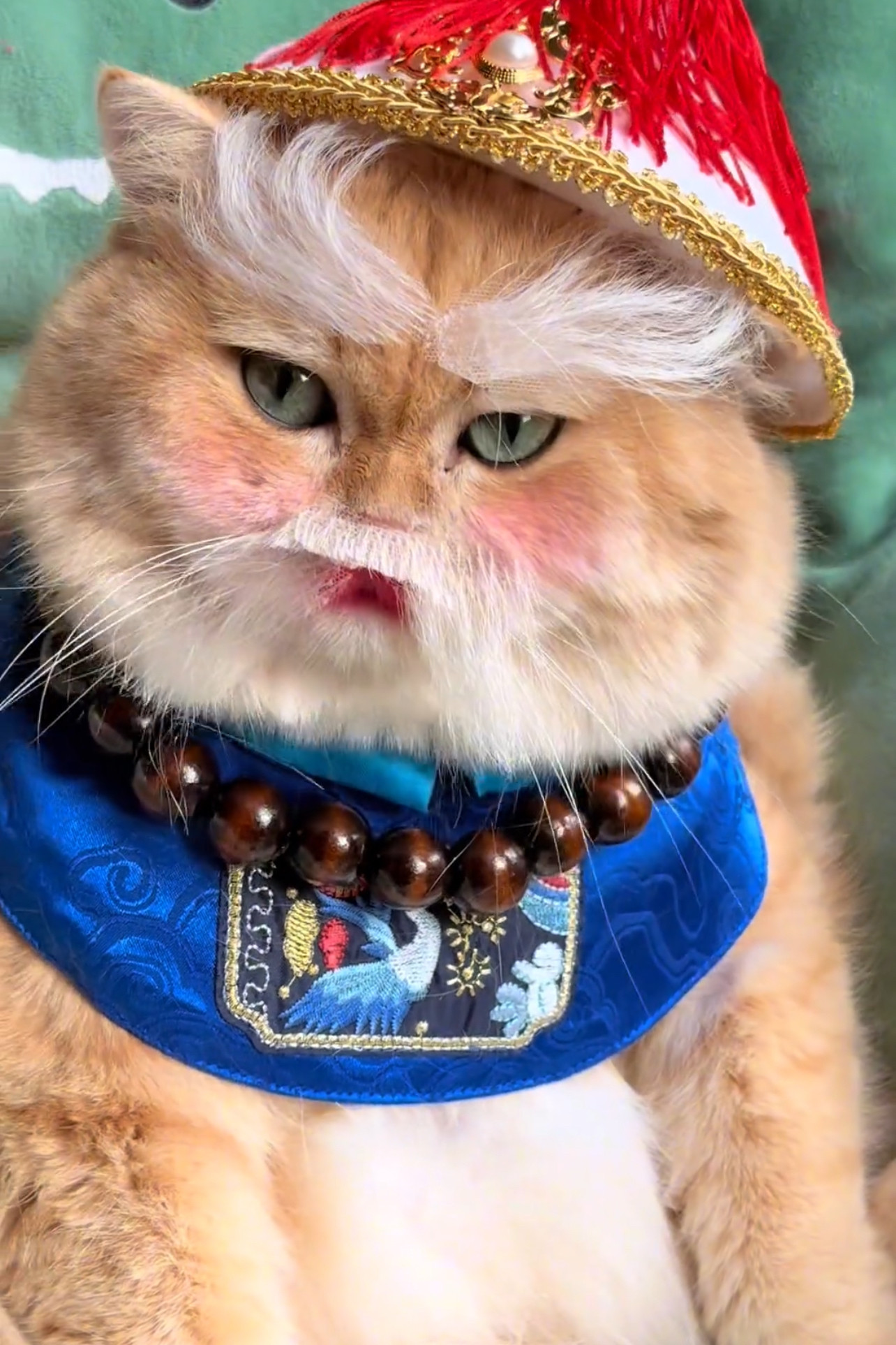 搞笑搞怪猫咪衣服宫廷风创意朝廷鳌拜搞怪口水巾猫猫衣服帽子可爱