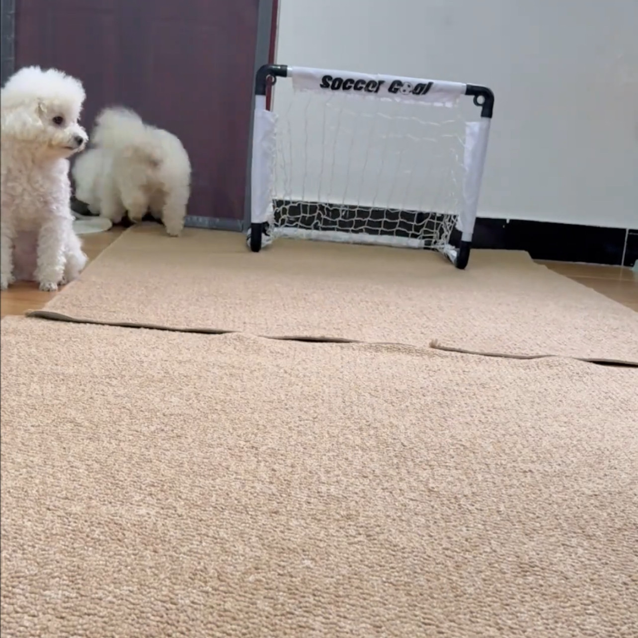 宠物玩具小型mini运动踢球户外简易门框足球门儿童折叠球网足球课