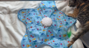 蓝色海星逗猫自嗨解闷互动玩具抖音同款新款多功能猫咪捕猎游戏