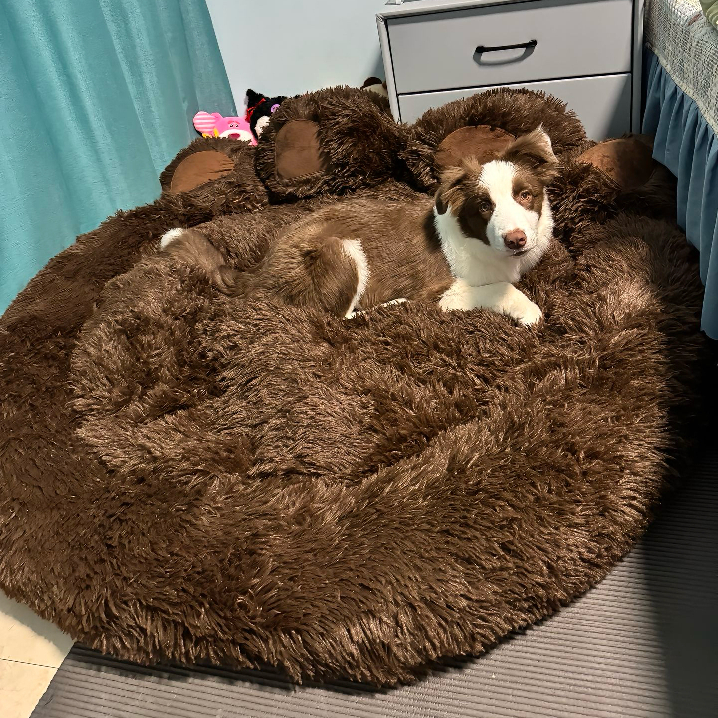 猫咪窝长毛绒冬季保暖大型狗窝沙发垫狗窝冬季保暖宠物窝猫窝熊掌