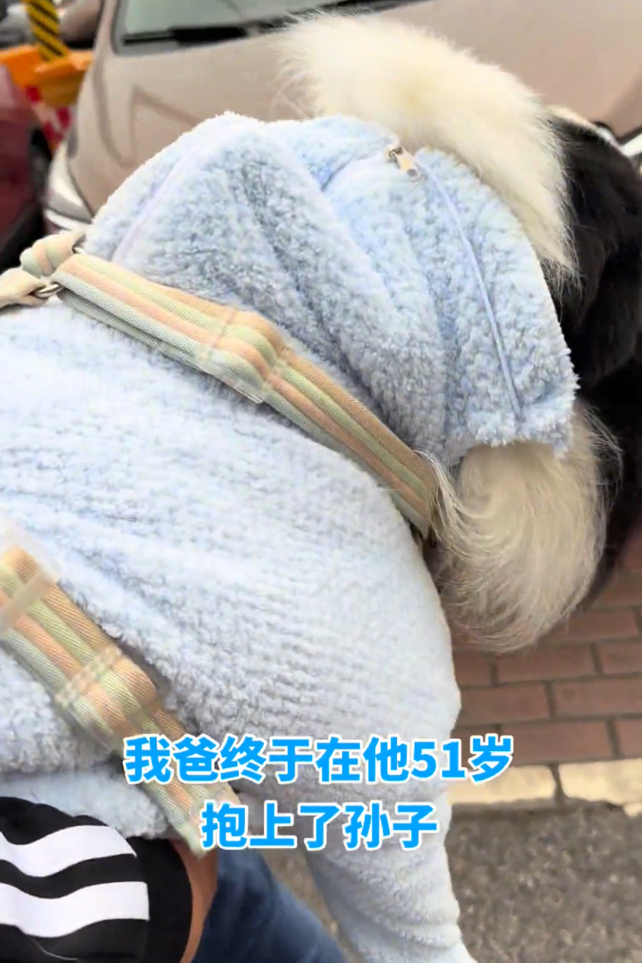蓝色新款宠物用具加厚毛巾速干擦小狗浴袍宠物狗狗洗澡浴巾吸水