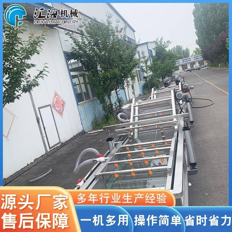 厂家供果应叶蔬气泡清洗机 毛辊清机 果蔬菜类喷淋冲浪清EHB洗洗