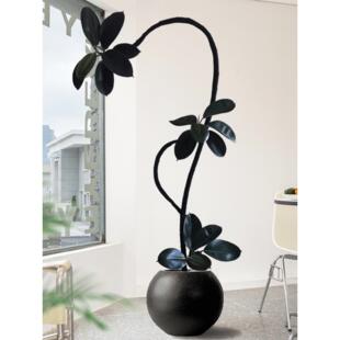 黑金刚橡皮树大盆栽 客厅绿植真树好养落地花卉造型室内大型植物