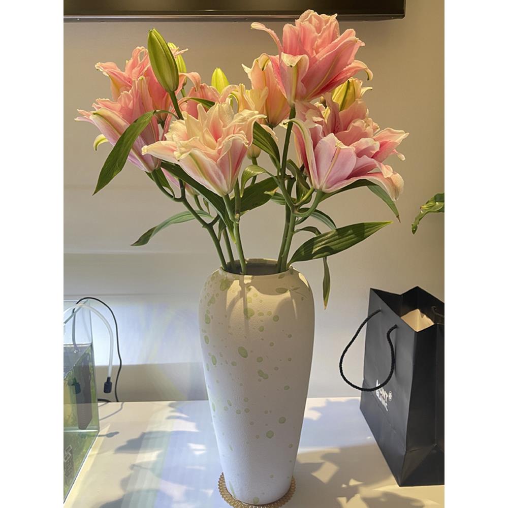 景德镇北欧陶瓷花瓶水养富贵竹百合客厅干鲜花插花瓶家居装饰摆件