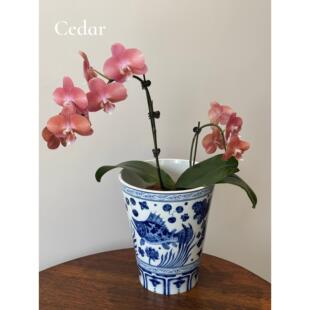 爆款花盆景德镇青花瓷鳜鱼鱼藻纹花瓶花盆家具摆件玄关无孔花瓶