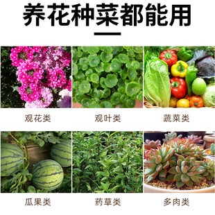缓释肥颗粒通用型家用盆栽花多肉氮磷钾肥颗粒花卉绿植复合肥