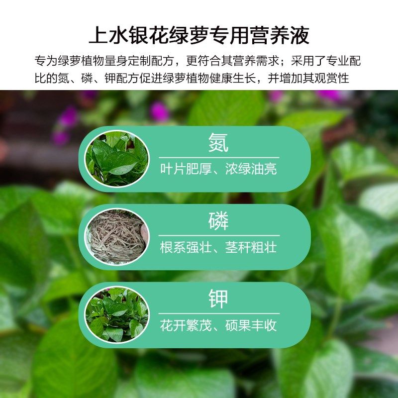 绿萝营养液肥料专用肥盆栽绿箩营养液花肥料家用土培养花用防黄叶,鲜花速递/花卉仿真/绿植园艺,家庭园艺肥料,淘宝优惠券,粉丝福利购,淘宝优惠卷