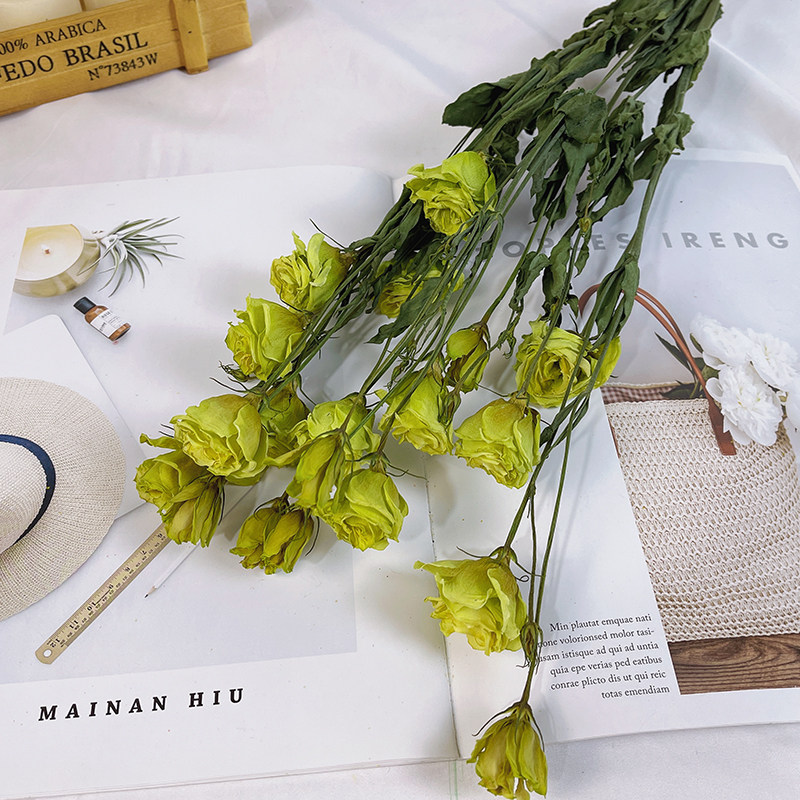 洋桔梗干花天然真花个性装饰插花diy画框干花材家居摆设配花