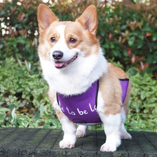 狗狗肚兜柯基犬防水宠物雨衣公母狗护肚衣服小中大型犬防脏防着凉