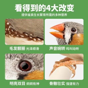 威毕珍珠鸟专用鸟粮文鸟混合鸟食十姐妹七彩鹦鹉麻雀营养雏鸟饲料