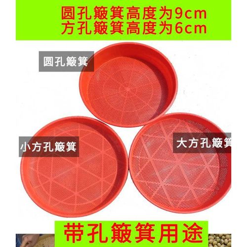 塑料筛子圆簸箕家用大号仿竹编无孔竹筛子晾晒干货茶叶圆竹匾