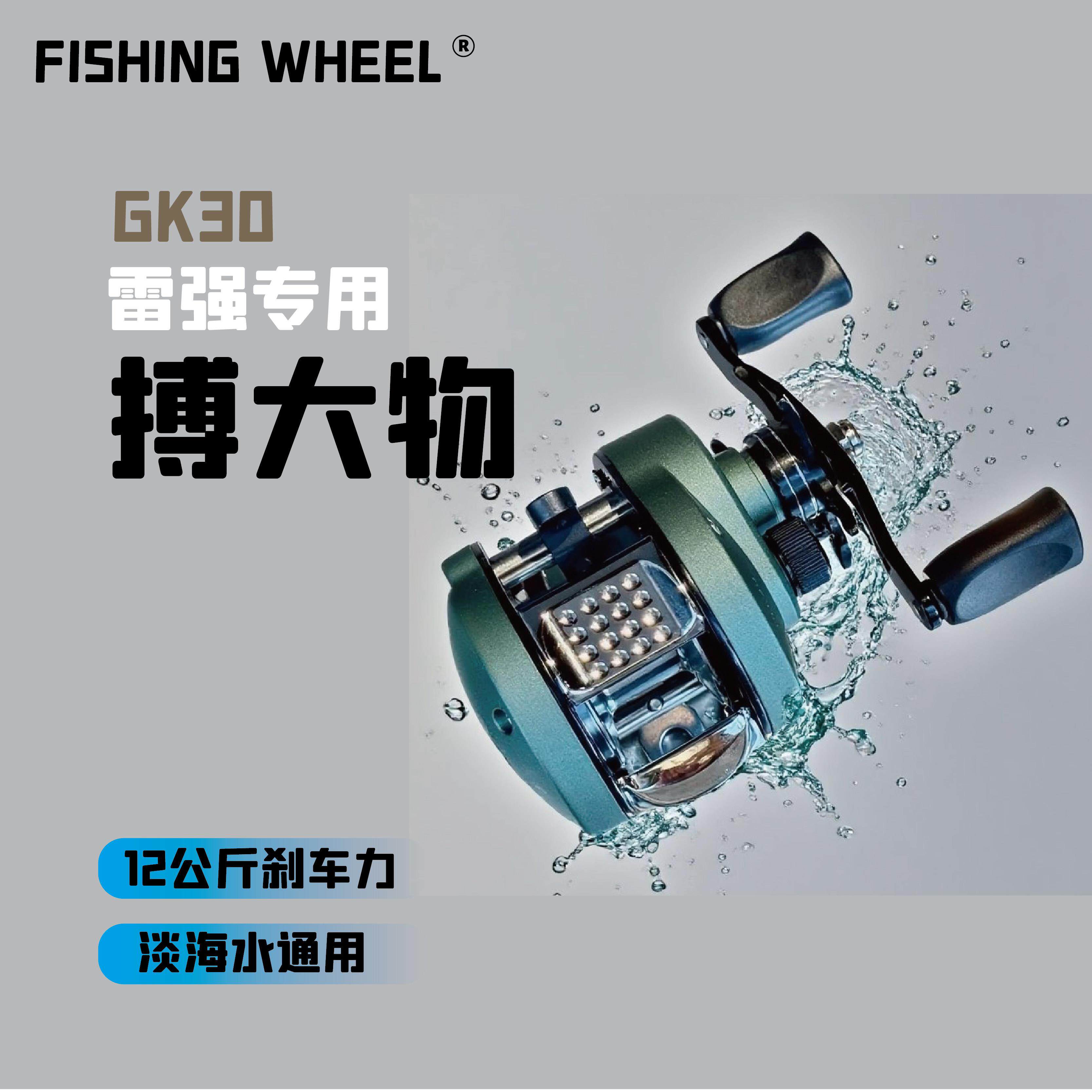 FSWL雷强轮全金属鼓轮淡海两用远投磁力防炸线微物大物鱼线轮筏钓