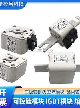 巴斯曼熔断器170M3142/170M3467/170M3819/170M4138保险丝底座