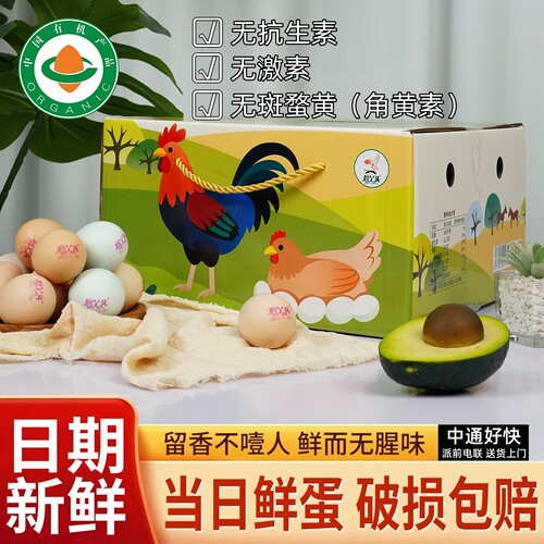 有机散养跑山鸡鲜蛋无抗无农残