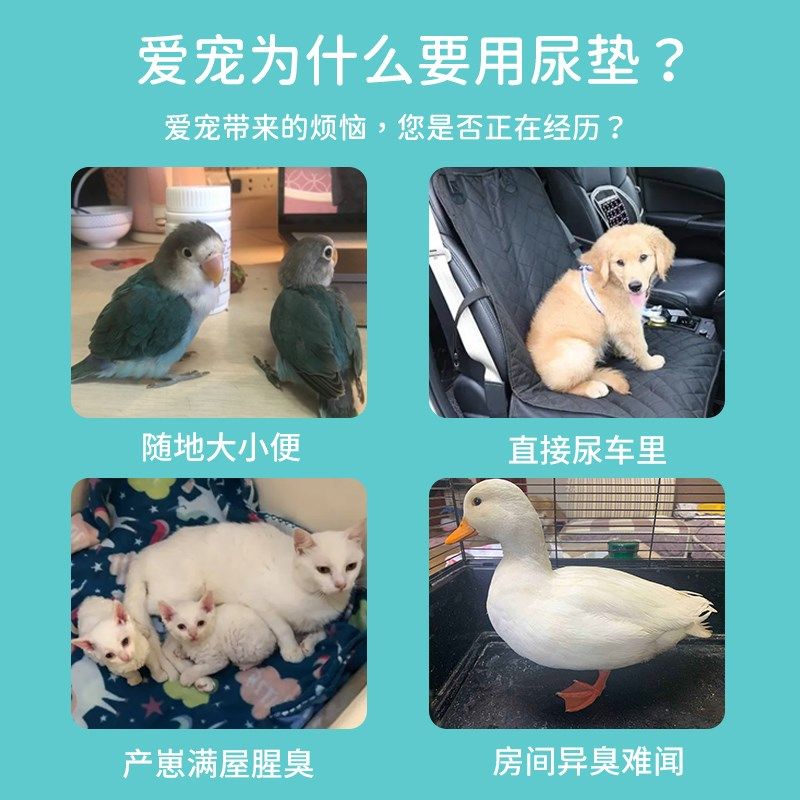 宠物隔尿垫猫用尿片狗狗吸水垫兔子粪便垫一次性猫咪生产护理垫布,宠物/宠物食品及用品,尿片/尿垫/护垫,淘宝优惠券,粉丝福利购,淘宝优惠卷