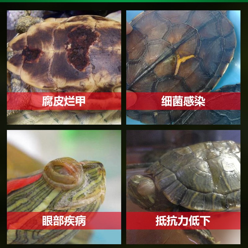 乌龟腐皮药烂甲药皮肤乌龟腐皮烂甲腐甲白眼病专用护龟宝液非药用
