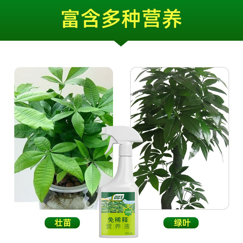 发财树肥料专用肥盆栽绿植免稀释植物营养液幸福树金钱树通用花肥