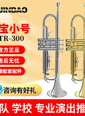 津宝小号乐器JBTR-300降B调初学者通用黄铜小号军乐队学校管乐队