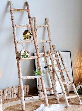 桦木装饰木梯子靠墙摆件拍摄道具橱窗展示花园庭院落地收纳整理架