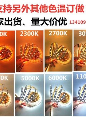 高亮准色温12V24V2000K2300K2700K3000K4000K5000K6000K 灯条灯带