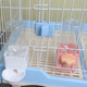 宠物笼用固定饮水器挂式 自动饮水小口猫咪喝水壶狗狗兔子小宠水碗