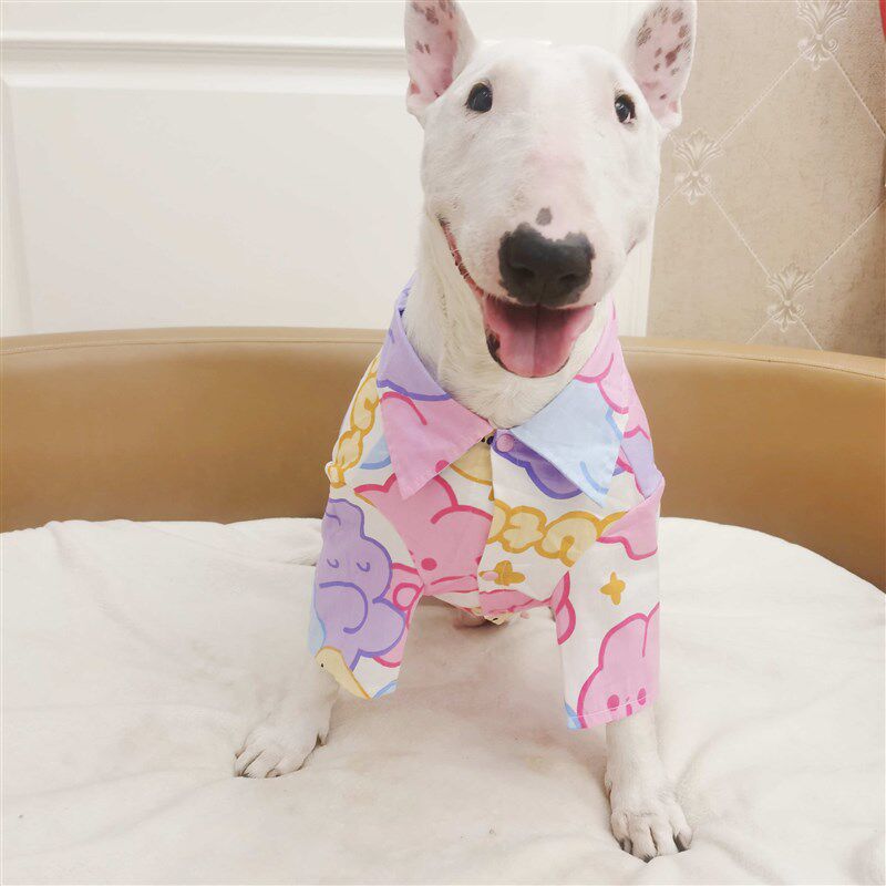 双色兔子狗狗衬衣大小型犬猫咪衬衣牛头梗拉布拉多法斗恶霸斯塔福