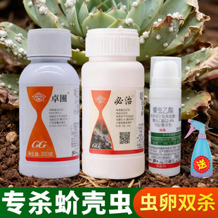 国光卓圃蚧壳虫专用杀虫剂多肉月季发财树花卉柑橘紫薇果树农药