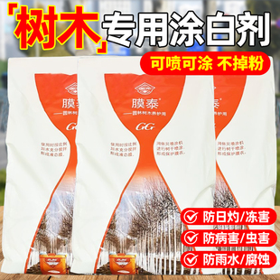 40斤国光膜泰大树涂白剂刷白果树防虫防冻防菌防霜冻石灰粉可喷涂