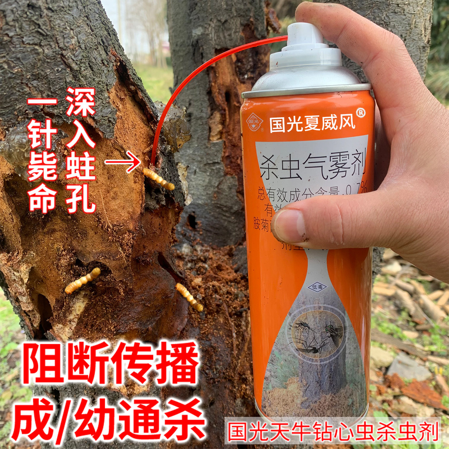 国光毒枪天牛杀虫剂无花果桃树树干钻心虫幼虫树洞蛀木虫天牛专用图片