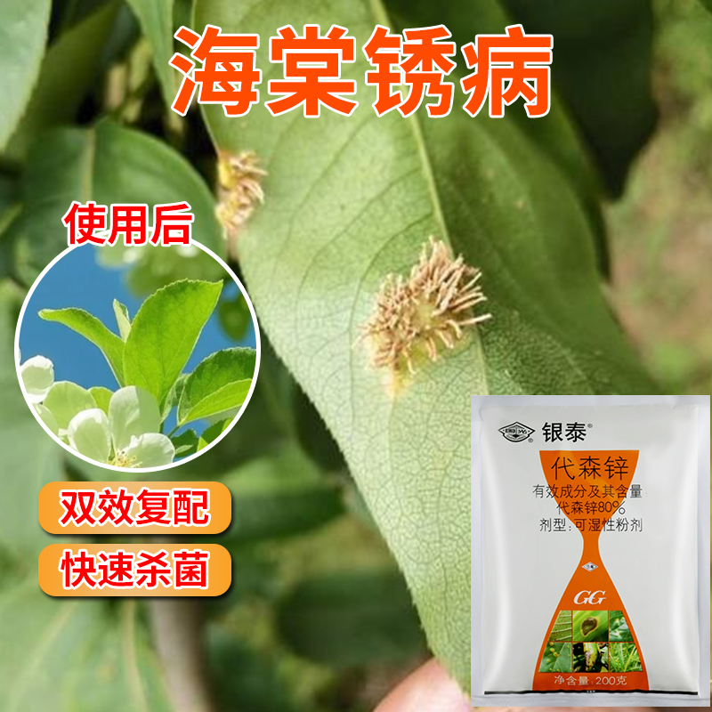 国光代森锌海棠锈病专用杀菌剂