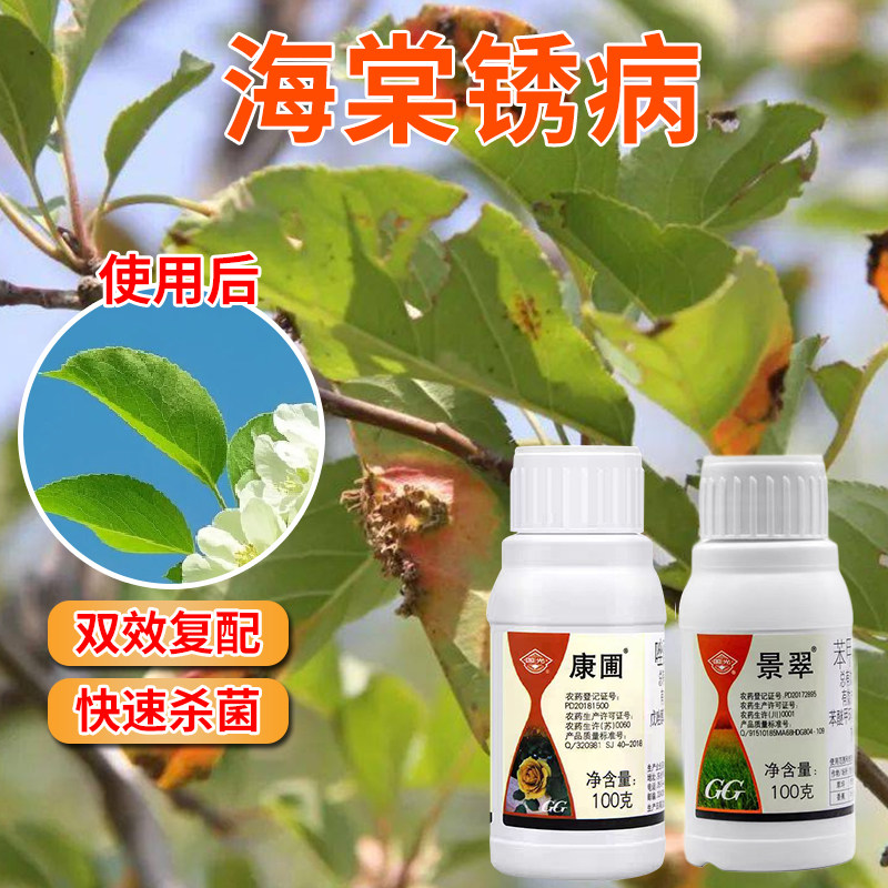 国光康圃海棠锈病专用杀菌剂月季花卉蔷薇叶斑病黑斑病杀菌药