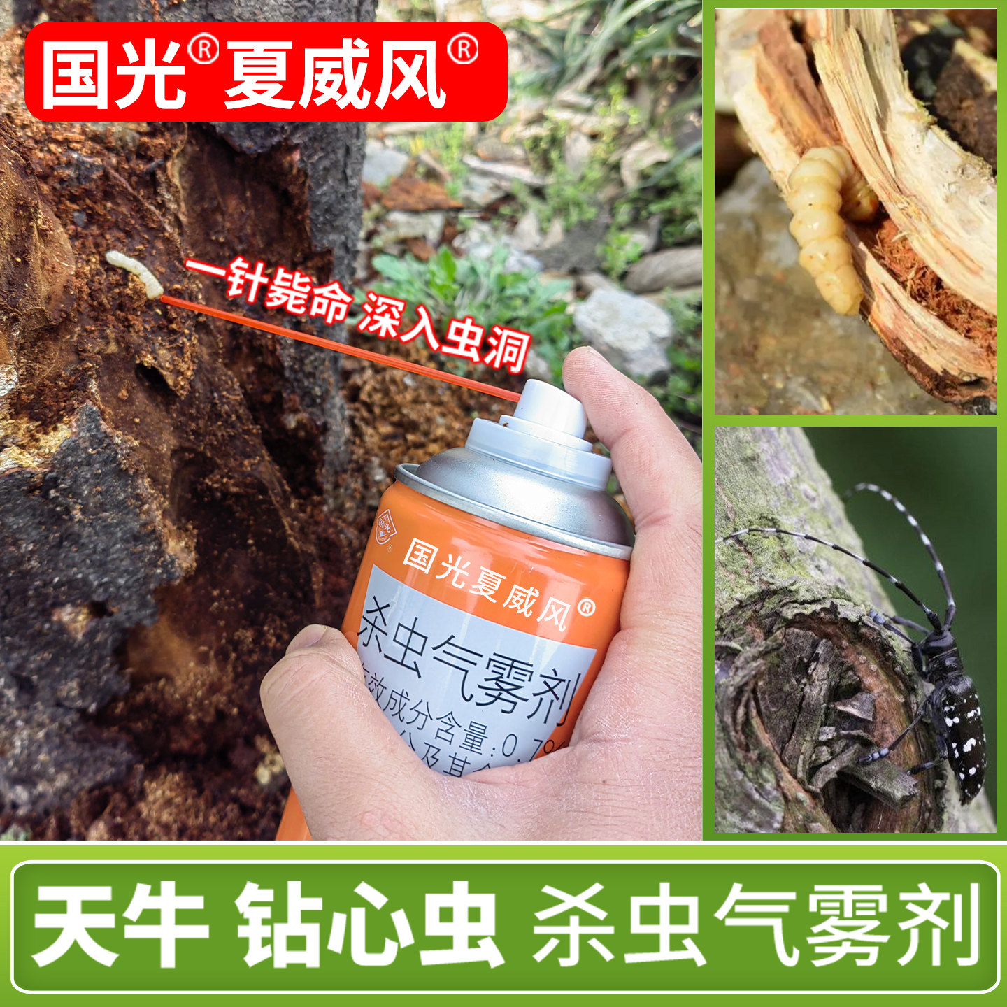 国光毒枪天牛杀虫剂无花果桃树树干钻心虫幼虫树洞蛀木虫天牛专用图片