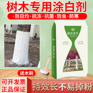 40斤树干专用涂白剂涂抹果树越冬防冻防晒防虫园林刷白粉剂可喷涂