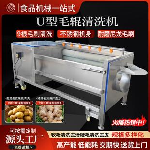 全自动土豆红薯去皮机马蹄猪蹄萝卜毛辊清洗机魔芋花生姜清洗设备