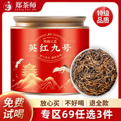 【69元3件】正宗英德红茶英红九号2025新茶特级浓香小罐装茶叶80g
